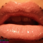 Dotted Lines
